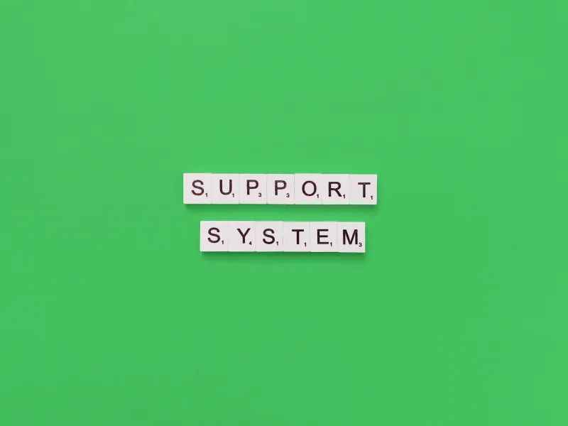 support system (DSS)