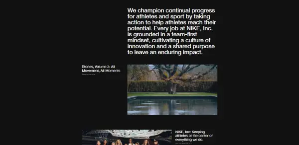 Nike Company Profile