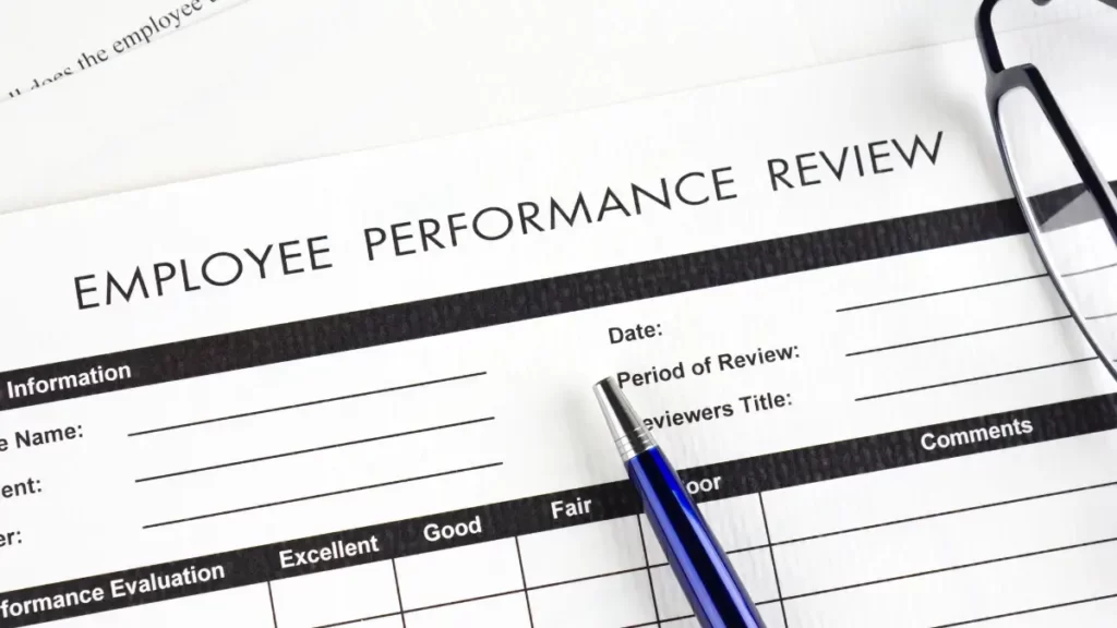 performance review adalah