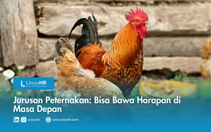 Jurusan Peternakan Bisa Bawa Harapan di Masa Depan