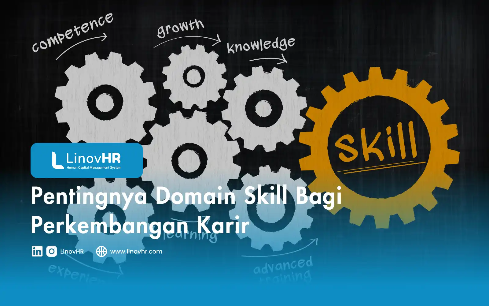 Pentingnya Domain Skill Bagi Perkembangan Karir